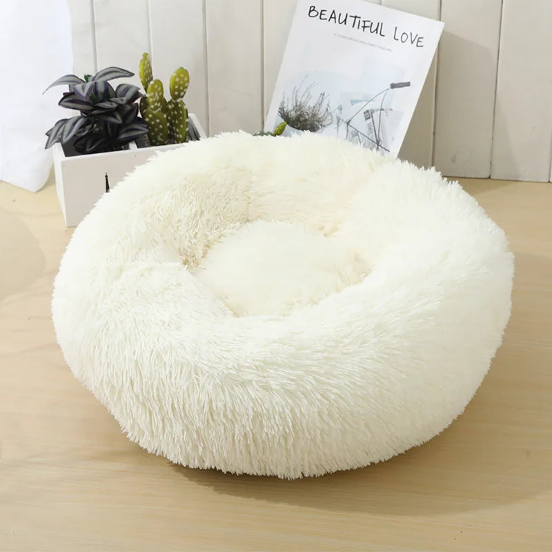 Cama Comfort para Pets