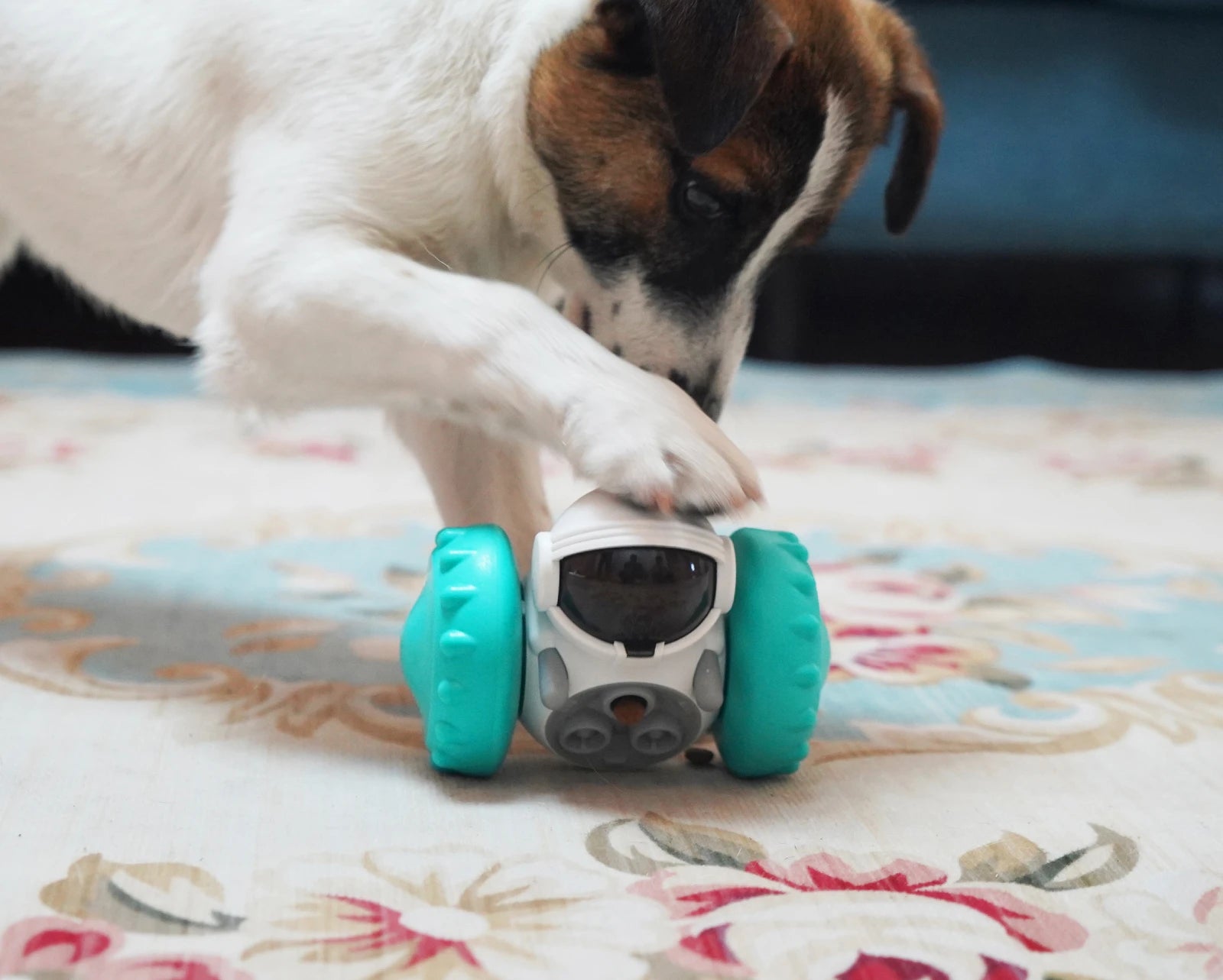 Robô interativo para cães e gatos Slow Food