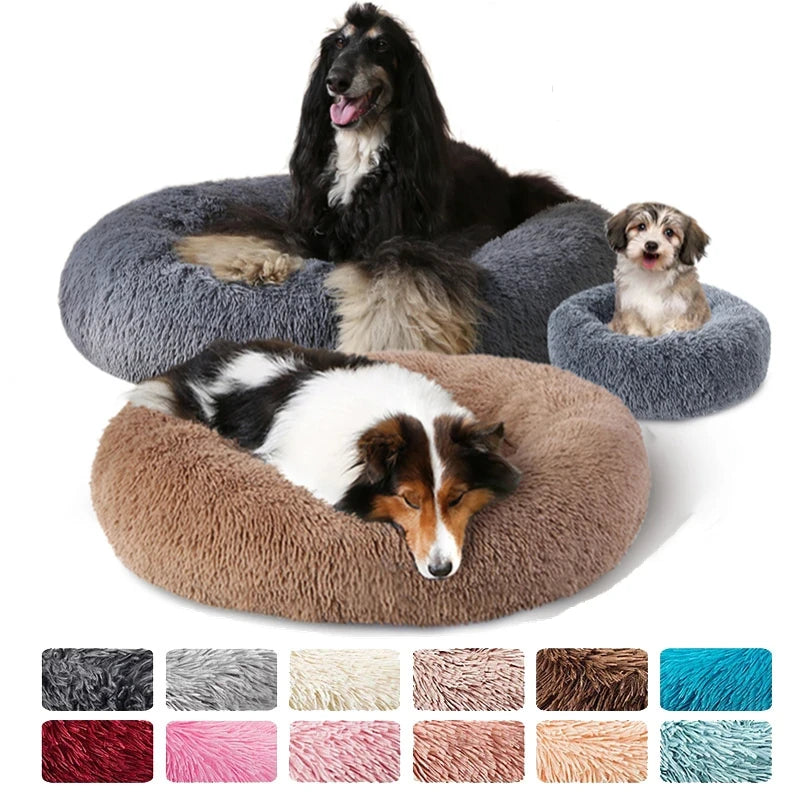 Acessórios Pet
