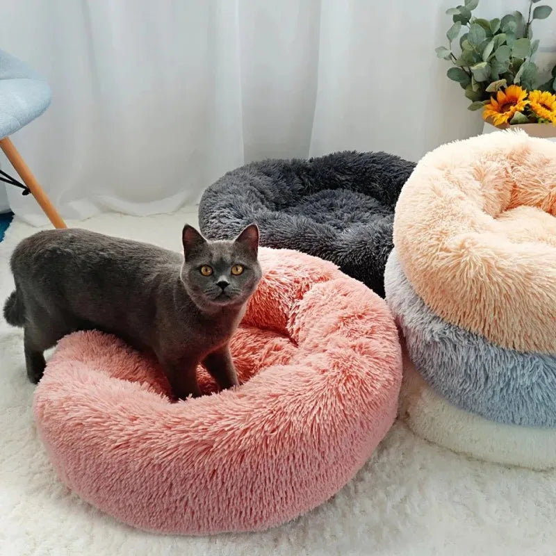 Cama Comfort para Pets
