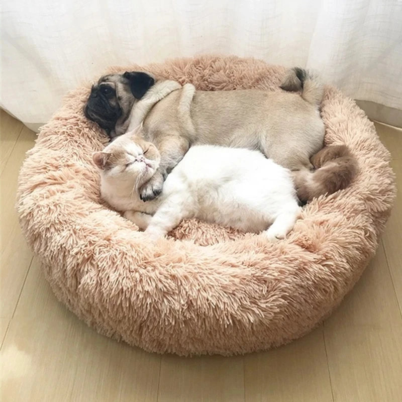 Cama Comfort para Pets